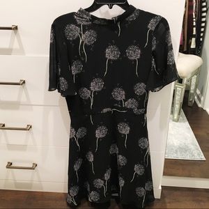 Warehouse Dresses - Dandelion Print Mini Skater Dress Warehouse Dresses - Dandelion Print Mini Skater Dress